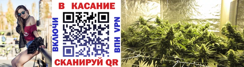 Где купить Городец Каннабис  Кокаин  Гашиш  Мефедрон 