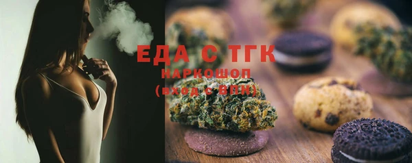индика Сатка