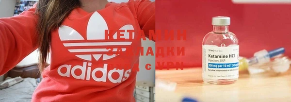 индика Сатка