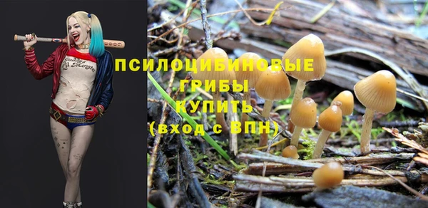 хмурый Балахна